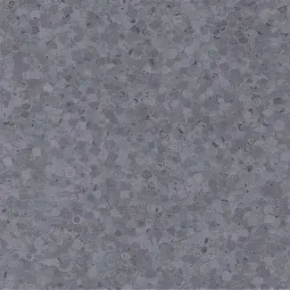 Raspberry Grey - scanmobile