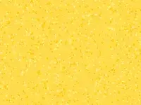 PREMIUM - 0053 BRAZILIA Limeira