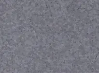 Raspberry Grey - scanmobile