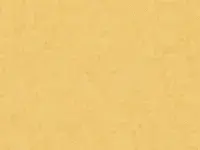 PREMIUM - 4384 OSMOZ Barbadine