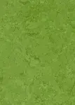 Linodur Avocado Green