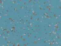 TARALAY-PREMIUM-POESY-8627-ALLEGORIE