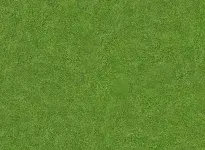 gerflor-7514-spring-grass